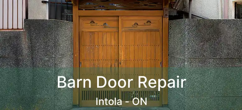  Barn Door Repair Intola - ON