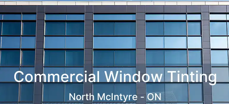  Commercial Window Tinting North McIntyre - ON