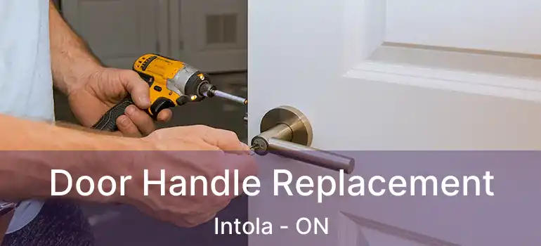  Door Handle Replacement Intola - ON