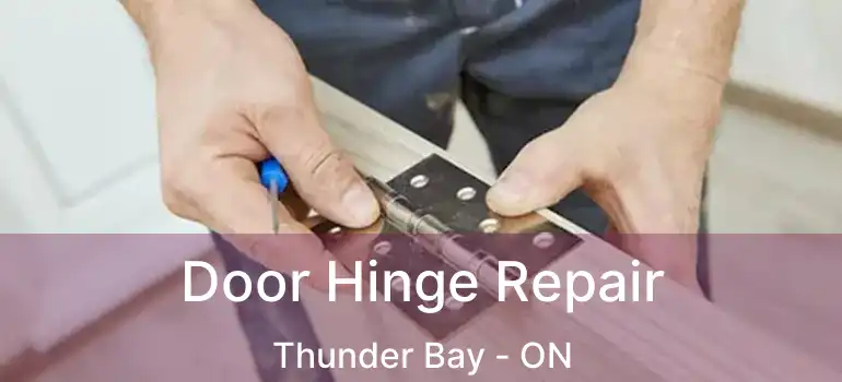  Door Hinge Repair Thunder Bay - ON