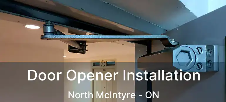 Door Opener Installation North McIntyre - ON