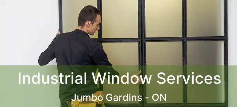  Industrial Window Services Jumbo Gardins - ON
