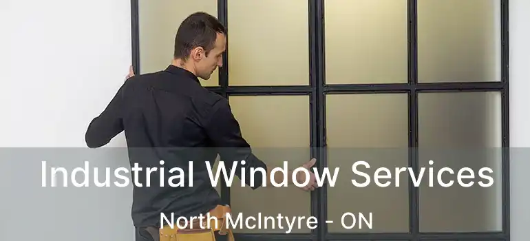  Industrial Window Services North McIntyre - ON