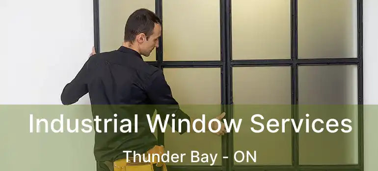  Industrial Window Services Thunder Bay - ON