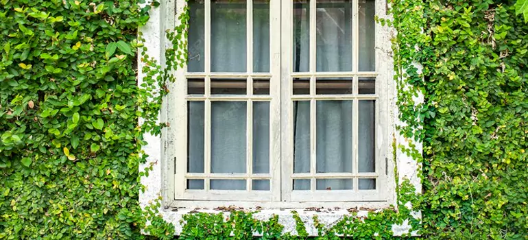 arden Window Repair Near Me in Thunder Bay, ON