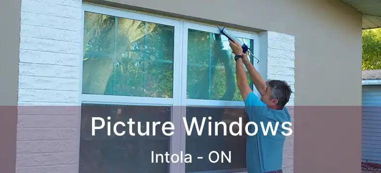 Picture Windows Intola - ON