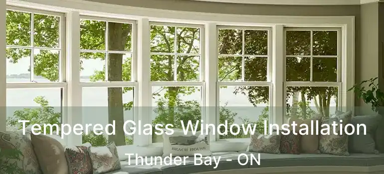  Tempered Glass Window Installation Thunder Bay - ON