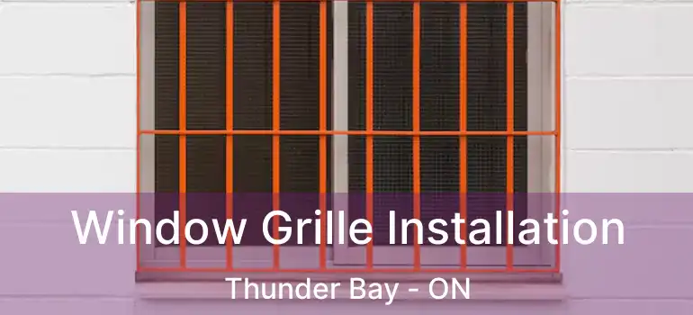  Window Grille Installation Thunder Bay - ON