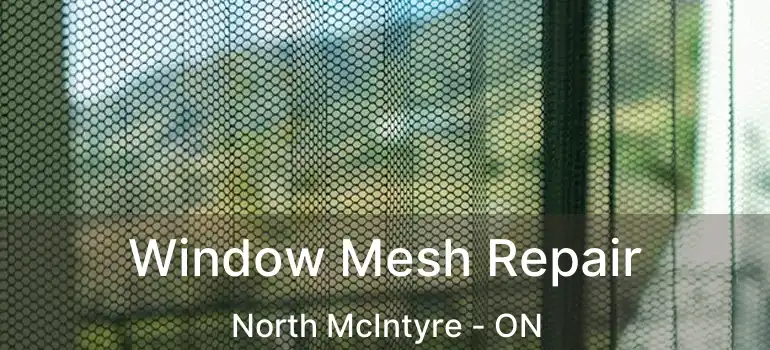  Window Mesh Repair North McIntyre - ON