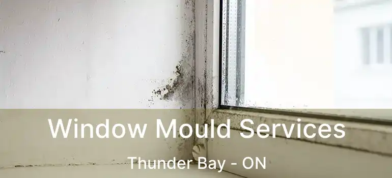  Window Mould Services Thunder Bay - ON