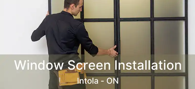  Window Screen Installation Intola - ON