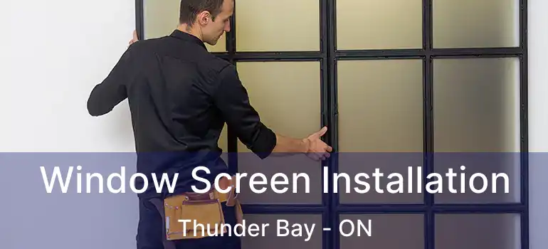  Window Screen Installation Thunder Bay - ON