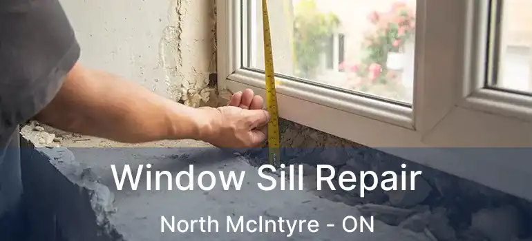  Window Sill Repair North McIntyre - ON