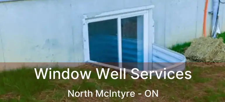  Window Well Services North McIntyre - ON